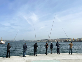 Similar image 21794425