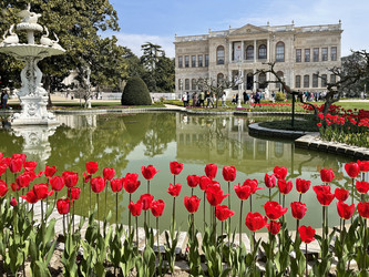 Similar image 21794432