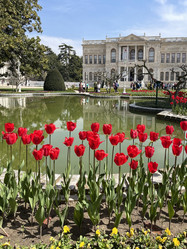 Similar image 21794434