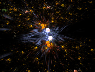 Similar image 21803875