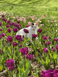 Similar image 21794305