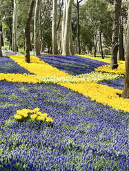 Similar image 21794317