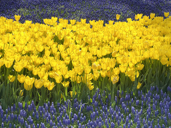 Similar image 21794321