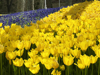 Similar image 21794323