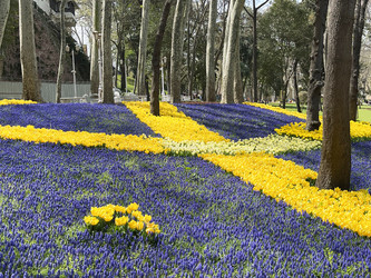 Similar image 21794324