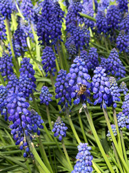 Similar image 21794327