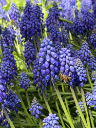 Similar image 21794328