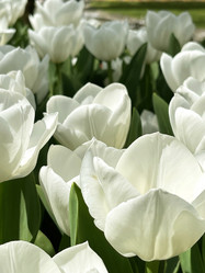 Similar image 21794329