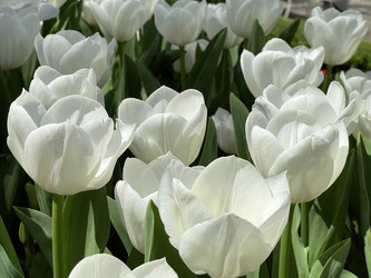 Similar image 21794331