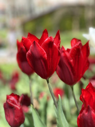 Similar image 21794333