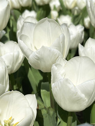 Similar image 21794334