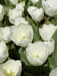 Similar image 21794335