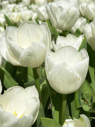 Similar image 21794336