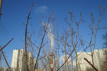 Similar image 21792518