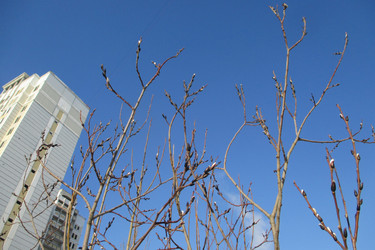 Similar image 21792519