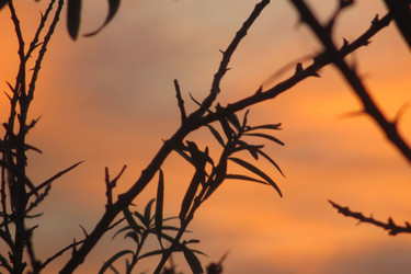 Similar image 21792521