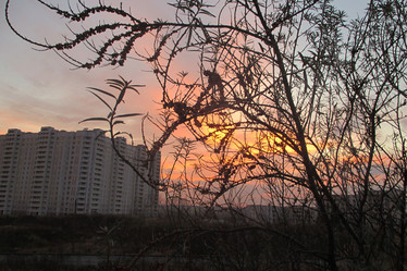 Similar image 21792522