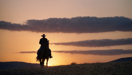 Similar image 21804617