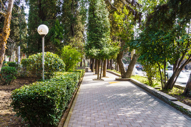 Similar image 21807344