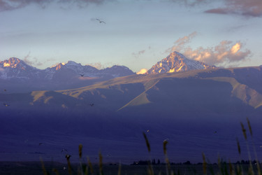 Similar image 21792533