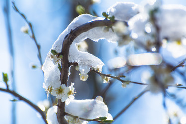 Similar image 21792536