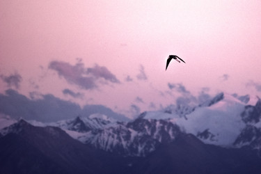 Similar image 21792538