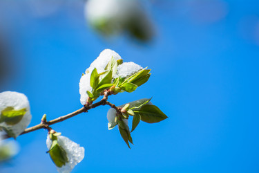 Similar image 21792541