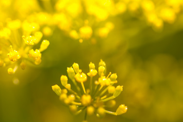 Similar image 21792542