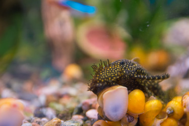 Similar image 21792545