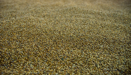 Similar image 21792551