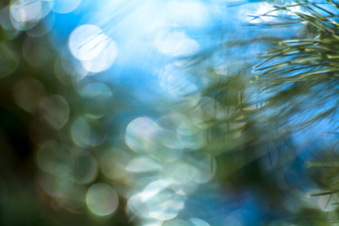 Similar image 21792554