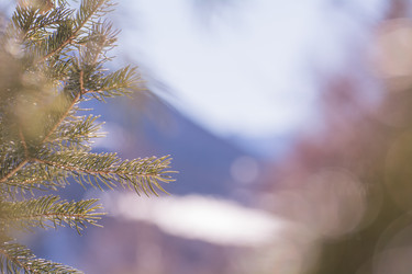 Similar image 21792555