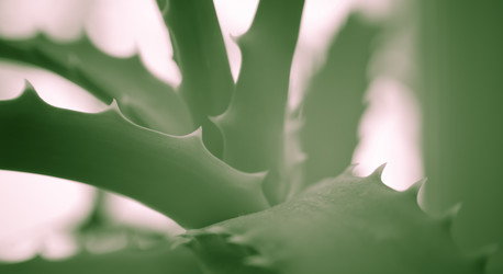 Similar image 21792559