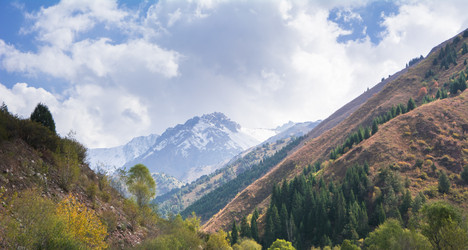 Similar image 21792565