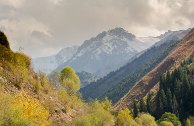 Similar image 21792566