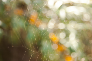 Similar image 21792570