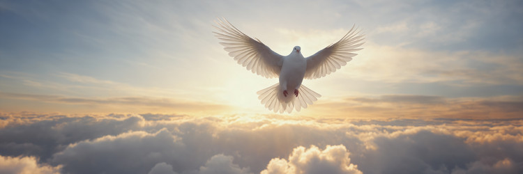 Similar image 21808058