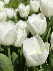 Similar image 21794441