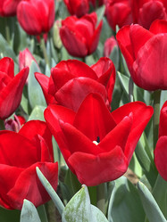 Similar image 21794442