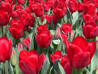 Similar image 21794443