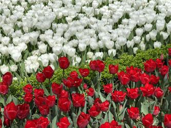 Similar image 21794445