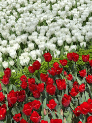 Similar image 21794446