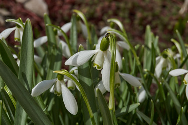 Similar image 21791064