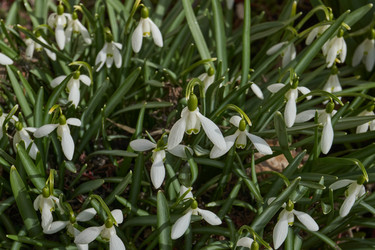 Similar image 21791065