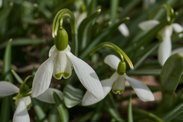 Similar image 21791066