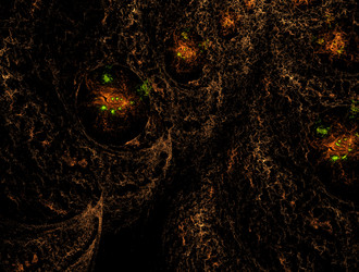 Similar image 21795208