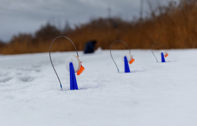 Similar image 21791106