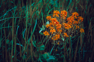 Similar image 21791111