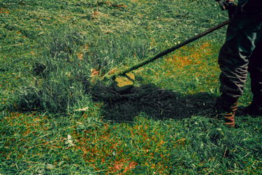 Similar image 21791123