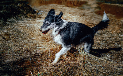 Similar image 21791125